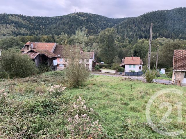 terrain - ALLARMONT - 88